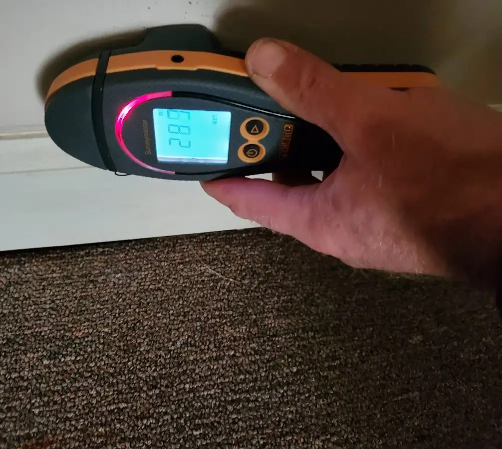 Moisture detection at baseboard during Sewage Cleanup & Sanitation in Upton